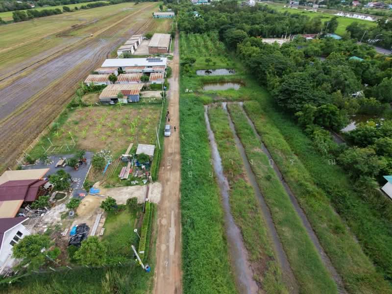 ที่ดินเปล่า ตำบลคลองหก อำเภอคลองหลวง จังหวัดปทุมธานี, Pathum Thani, Khlong Hok, Khlong Luang, Pathum Thani, , 3,200 sqm, Land For Sale, by ภัทรนัน อิศรางกูร ณ อยุธยา, 500473361 - DDproperty.com