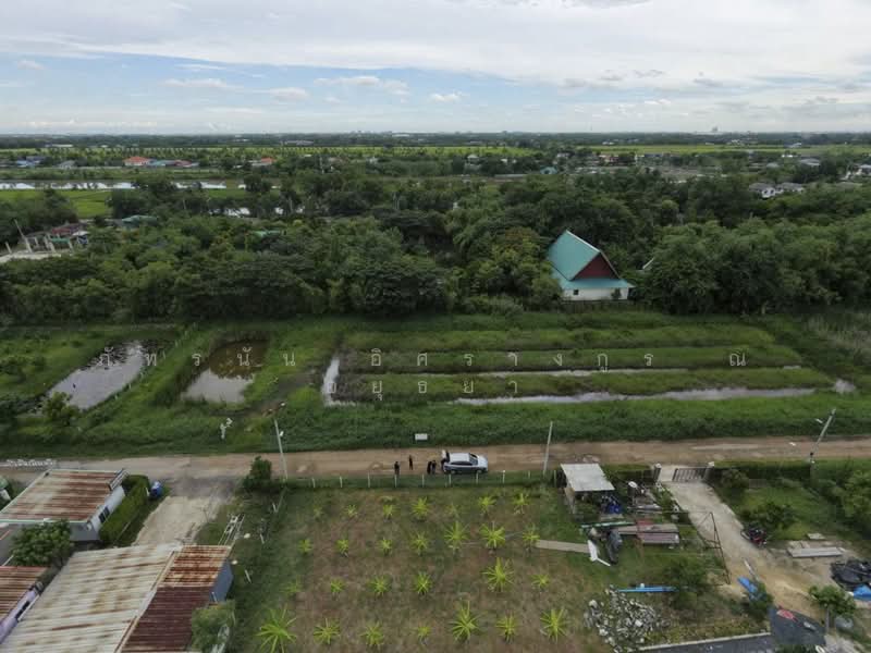 ที่ดินเปล่า ตำบลคลองหก อำเภอคลองหลวง จังหวัดปทุมธานี, Pathum Thani, Khlong Hok, Khlong Luang, Pathum Thani, , 3,200 sqm, Land For Sale, by ภัทรนัน อิศรางกูร ณ อยุธยา, 500473361 - DDproperty.com