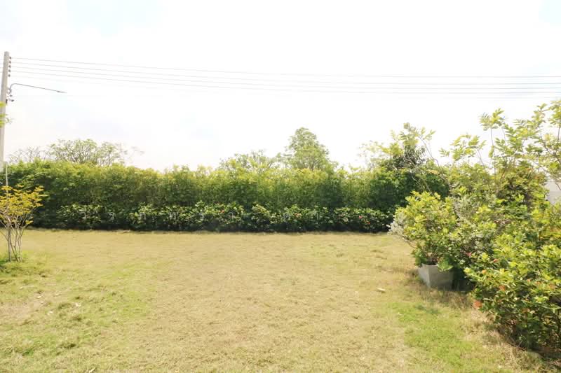 Lively Home Community, Buriram, Buri Ram, Ban Bua, Muang Buri Ram, Buri Ram, 3 Bedrooms, 252 sqm, Single Detached House For Sale, by วีรภัทรา ดาร์เปอร์, 500473429 - DDproperty.com