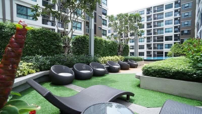 Supalai City Resort Bearing Station, Bangkok, 128 Sukhumvit, Bang Na, Bangkok, 1 Bedroom, 41 sqm, Condo For Rent, by Nattayaporn Peumkul (Benz), 500474042 - DDproperty.com