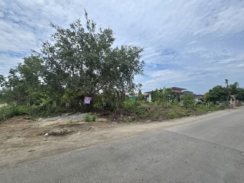 ไม่พบโครงการ, Samut Prakan, บ้านฉะบัง, Khlong Niyomyatra, Bang Bo, Samut Prakan, , 4,000 sqm, Land For Sale, by รัตนฉัตร์ ชยานันท์สิริภัค, 500474180 - DDproperty.com