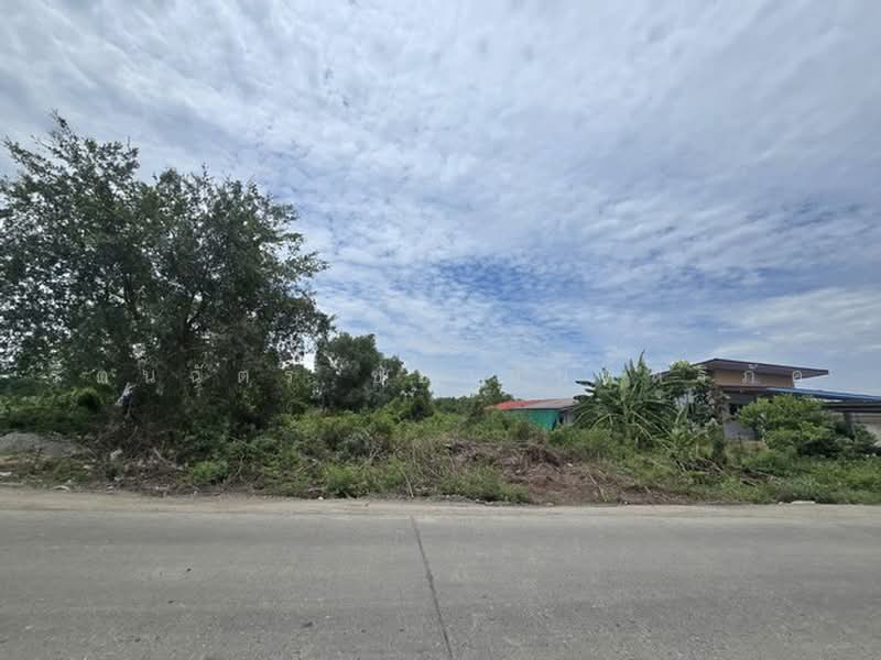ไม่พบโครงการ, Samut Prakan, บ้านฉะบัง, Khlong Niyomyatra, Bang Bo, Samut Prakan, , 4,000 sqm, Land For Sale, by รัตนฉัตร์ ชยานันท์สิริภัค, 500474180 - DDproperty.com