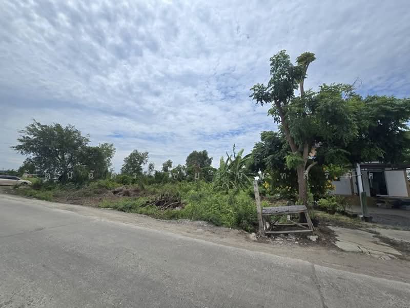ไม่พบโครงการ, Samut Prakan, บ้านฉะบัง, Khlong Niyomyatra, Bang Bo, Samut Prakan, , 4,000 sqm, Land For Sale, by รัตนฉัตร์ ชยานันท์สิริภัค, 500474180 - DDproperty.com