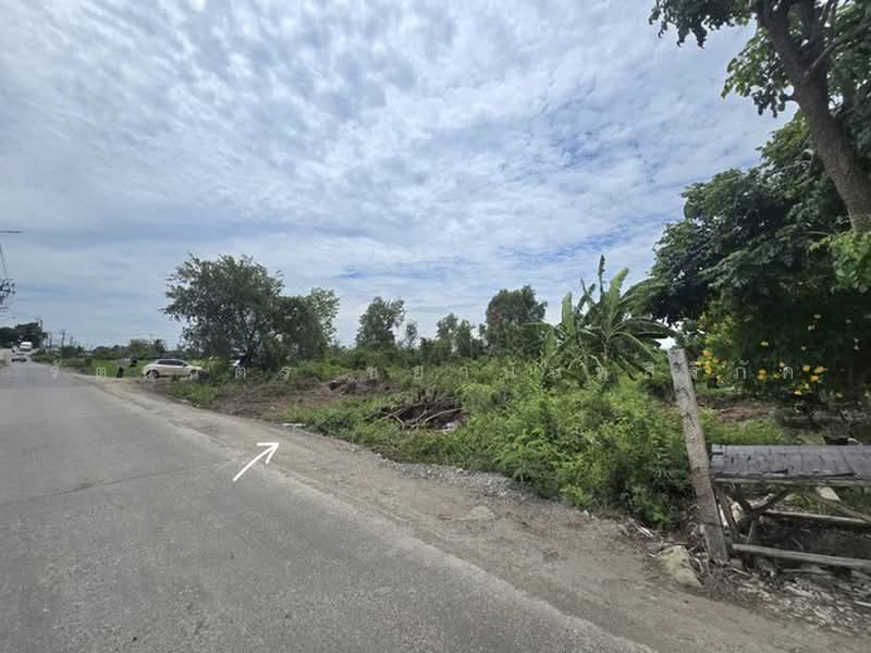 ไม่พบโครงการ, Samut Prakan, บ้านฉะบัง, Khlong Niyomyatra, Bang Bo, Samut Prakan, , 4,000 sqm, Land For Sale, by รัตนฉัตร์ ชยานันท์สิริภัค, 500474180 - DDproperty.com
