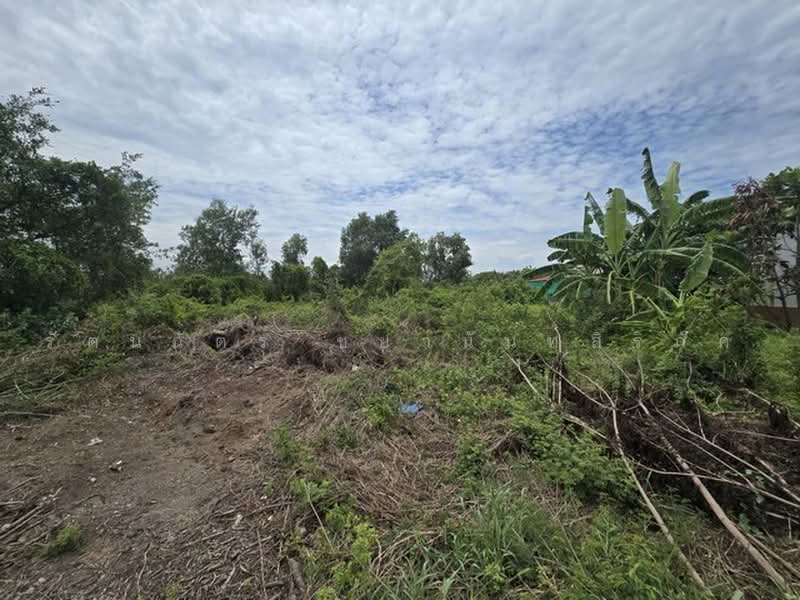 ไม่พบโครงการ, Samut Prakan, บ้านฉะบัง, Khlong Niyomyatra, Bang Bo, Samut Prakan, , 4,000 sqm, Land For Sale, by รัตนฉัตร์ ชยานันท์สิริภัค, 500474180 - DDproperty.com