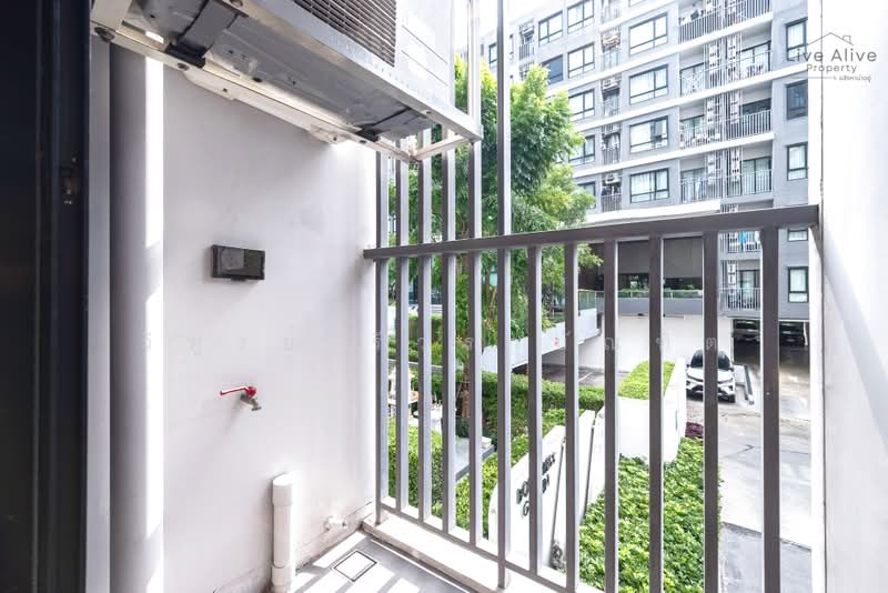 The Origin Sukhumvit 105, Bangkok, 818 Sukhumvit 105 Alley, Bang Na, Bangkok, 1 Bedroom, 28 sqm, Condo For Sale, by วิฑูรย์ รีวราบัณฑิต, 500474198 - DDproperty.com