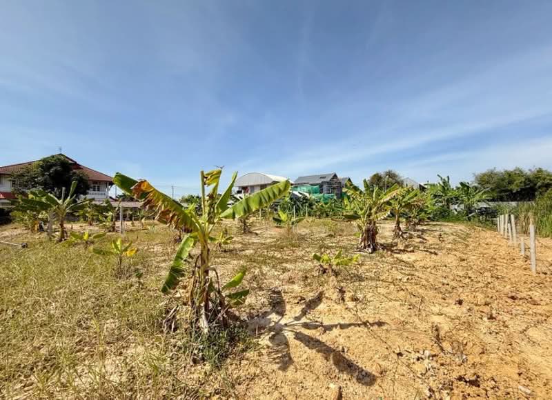 ไม่พบโครงการ, Bangkok, บรมราชชนนี พุทธมณฑล สาย 1, Chim Plee, Taling Chan, Bangkok, , 8,012 sqm, Land For Rent, by ณัฐพงศ์ สุนทรอรุณ, 500474261 - DDproperty.com