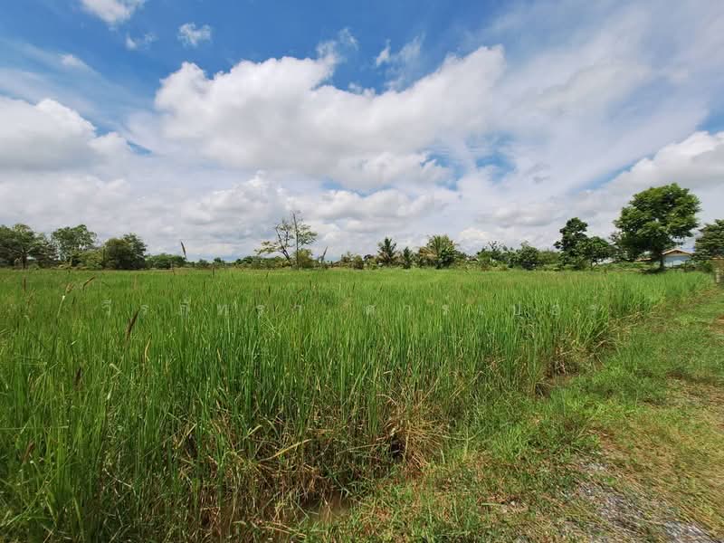 Muang Udon Thani, Udon Thani, Chiang Phin, Muang Udon Thani, Udon Thani, , 2,636 sqm, Land For Sale, by วีรภัทรา ดาร์เปอร์, 500474289 - DDproperty.com