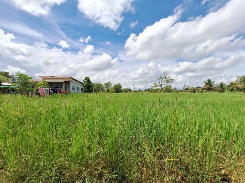 ขายที่ดิน 2,638 ตร.ม. ใกล้เมืองอุดรธานี ทำเลเด่น, อุดรธานี, เชียงพิณ, เมืองอุดรธานี, อุดรธานี, 2,636 ตร.ม., ที่ดิน ขาย, โดย วีรภัทรา ดาร์เปอร์, 500474289 - DDproperty.com