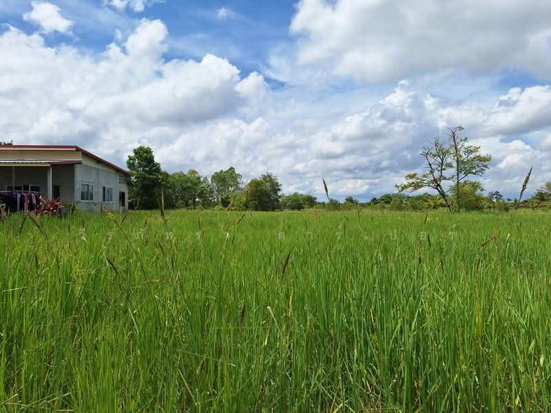 Muang Udon Thani, Udon Thani, Chiang Phin, Muang Udon Thani, Udon Thani, , 2,636 sqm, Land For Sale, by วีรภัทรา ดาร์เปอร์, 500474289 - DDproperty.com