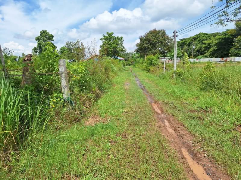 Muang Udon Thani, Udon Thani, Chiang Phin, Muang Udon Thani, Udon Thani, , 2,636 sqm, Land For Sale, by วีรภัทรา ดาร์เปอร์, 500474289 - DDproperty.com