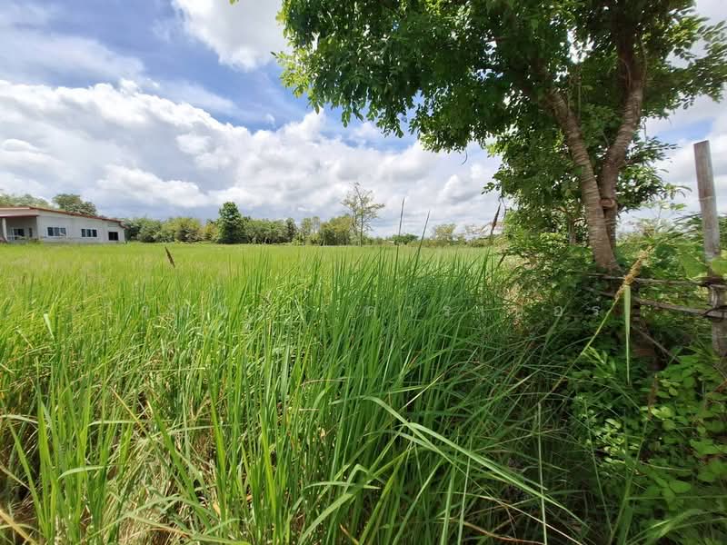 Muang Udon Thani, Udon Thani, Chiang Phin, Muang Udon Thani, Udon Thani, , 2,636 sqm, Land For Sale, by วีรภัทรา ดาร์เปอร์, 500474289 - DDproperty.com