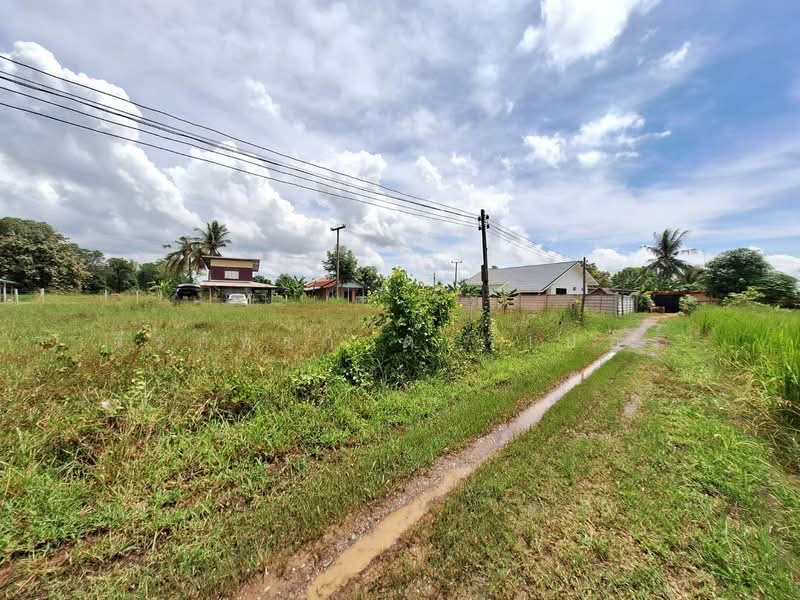 ขายที่ดิน 2,638 ตร.ม. ใกล้เมืองอุดรธานี ทำเลเด่น, อุดรธานี, เชียงพิณ, เมืองอุดรธานี, อุดรธานี, 2,636 ตร.ม., ที่ดิน ขาย, โดย วีรภัทรา ดาร์เปอร์, 500474289 - DDproperty.com