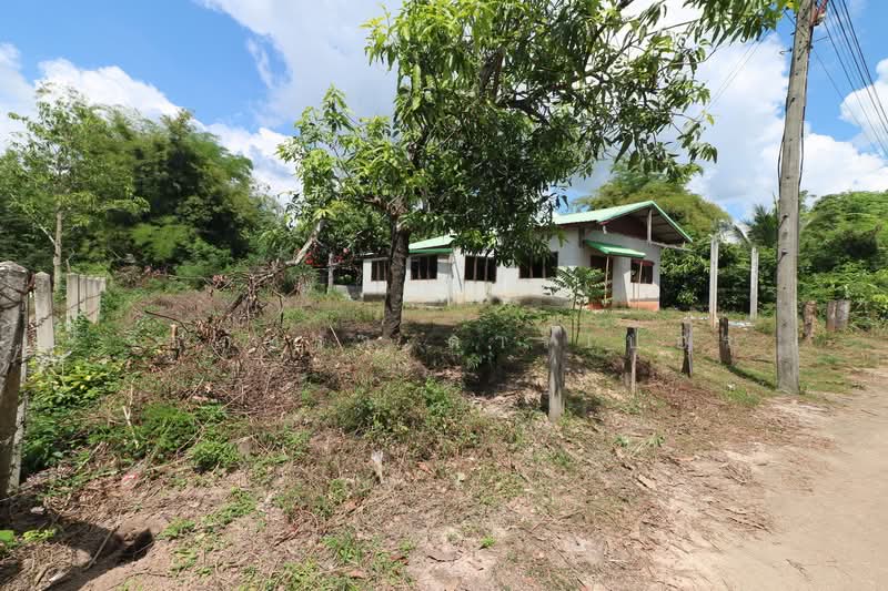 Renovator's Dream! Land & Home For Sale, Pa Kho, Udon Thani, Kut Chap, Udon Thani, 2 Bedrooms, 165 sqm, Single Detached House For Sale, by วีรภัทรา ดาร์เปอร์, 500474297 - DDproperty.com