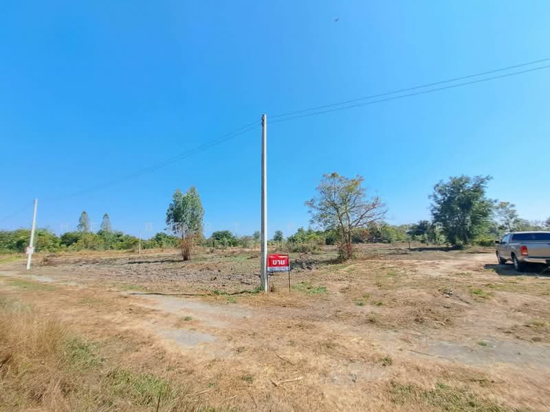 ที่ดินดอนเจดีย์ สุพรรณบุรี, Suphan Buri, Thale Bok, Don Chedi, Suphan Buri, , 7,296 sqm, Land For Sale, by The Best Property รบ, 500474300 - DDproperty.com