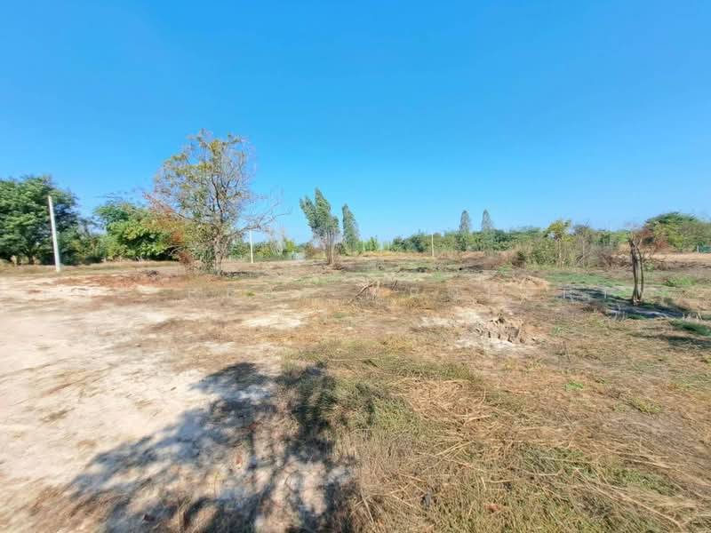 ที่ดินดอนเจดีย์ สุพรรณบุรี, สุพรรณบุรี, ทะเลบก, ดอนเจดีย์, สุพรรณบุรี, 7,296 ตร.ม., ที่ดิน ขาย, โดย The Best Property รบ, 500474300 - DDproperty.com