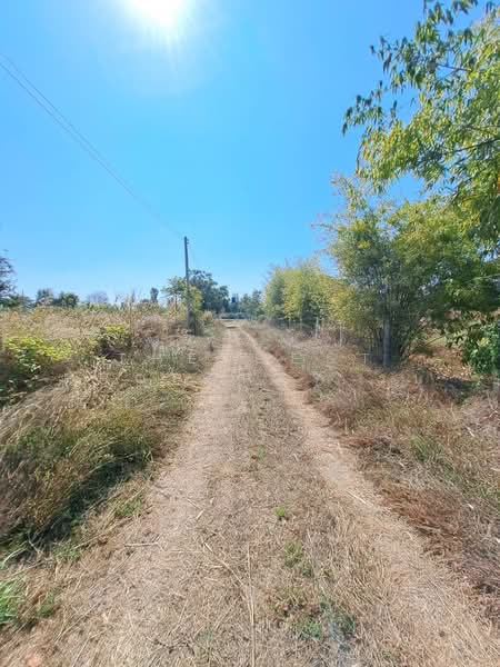 ที่ดินดอนเจดีย์ สุพรรณบุรี, Suphan Buri, Thale Bok, Don Chedi, Suphan Buri, , 7,296 sqm, Land For Sale, by The Best Property รบ, 500474300 - DDproperty.com