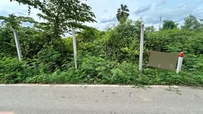 ขาย - ที่ดินโพธาราม ราชบุรี, ราชบุรี