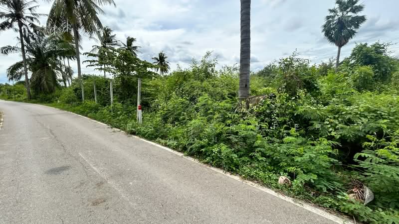 ที่ดินโพธาราม ราชบุรี, Ratchaburi, Khlong Khoi, Photharam, Ratchaburi, , 400 sqm, Land For Sale, by The Best Property แอม, 500474306 - DDproperty.com