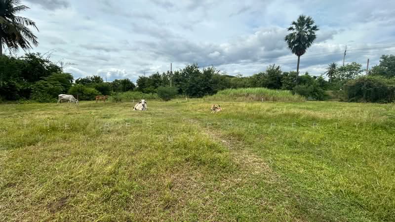 ที่ดินโพธาราม ราชบุรี, Ratchaburi, Khlong Khoi, Photharam, Ratchaburi, , 400 sqm, Land For Sale, by The Best Property แอม, 500474306 - DDproperty.com