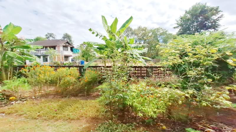 ขายบ้าน 2หลัง บนที่ดิน 1ไร่+อุดรธานี- โอกาสการลงทุนสุดพิเศษ, อุดรธานี, หมากแข้ง, เมืองอุดรธานี, อุดรธานี, 210 ตร.ม., บ้านแฝด ขาย, โดย วีรภัทรา ดาร์เปอร์, 500474316 - DDproperty.com