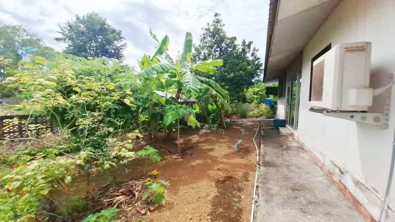 ขายบ้าน 2หลัง บนที่ดิน 1ไร่+อุดรธานี- โอกาสการลงทุนสุดพิเศษ, อุดรธานี, หมากแข้ง, เมืองอุดรธานี, อุดรธานี, 210 ตร.ม., บ้านแฝด ขาย, โดย วีรภัทรา ดาร์เปอร์, 500474316 - DDproperty.com