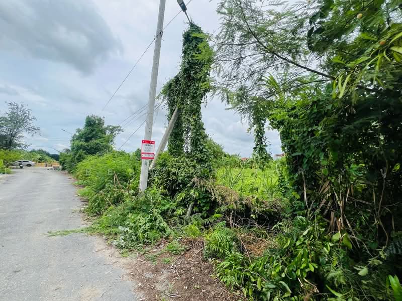 ที่ดินตลิ่งชัน กรุงเทพมหานคร, Bangkok, Taling Chan, Bangkok, , 340 sqm, Land For Sale, by The Best Property ปู, 500474335 - DDproperty.com