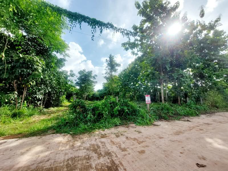 ที่ดินโพนพิสัย หนองคาย, หนองคาย, จุมพล, โพนพิสัย, หนองคาย, 2,084 ตร.ม., ที่ดิน ขาย, โดย The Best Property เป้า, 500474339 - DDproperty.com