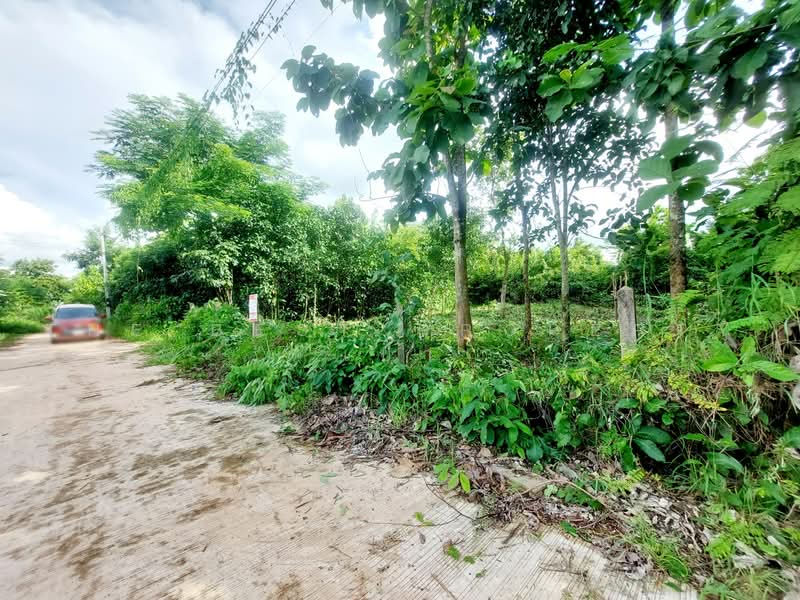 ที่ดินโพนพิสัย หนองคาย, Nong Khai, Chum Phon, Phon Phisai, Nong Khai, , 2,084 sqm, Land For Sale, by The Best Property เป้า, 500474339 - DDproperty.com