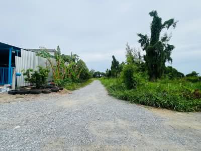 ขาย - ที่ดินพุทธมณฑล นครปฐม, นครปฐม