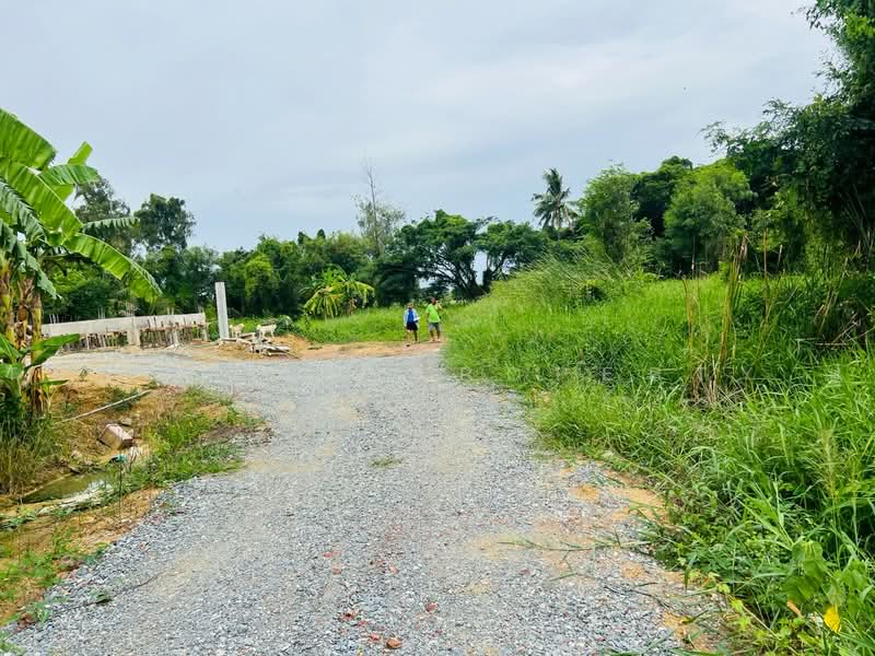 ที่ดินพุทธมณฑล นครปฐม, Nakhon Pathom, Khlong Yong, Phuttha Mon Thon, Nakhon Pathom, , 1,196 sqm, Land For Sale, by The Best Property ปู, 500474344 - DDproperty.com