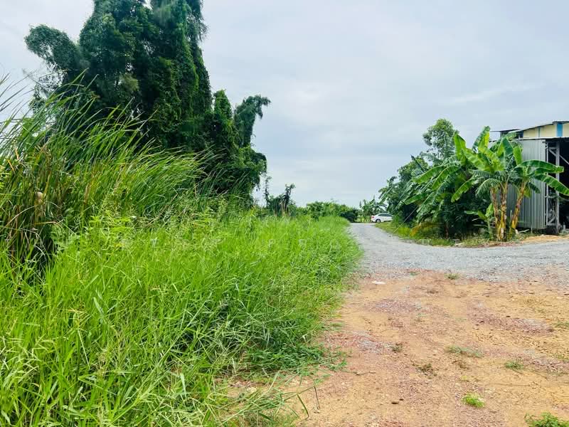 ที่ดินพุทธมณฑล นครปฐม, Nakhon Pathom, Khlong Yong, Phuttha Mon Thon, Nakhon Pathom, , 1,196 sqm, Land For Sale, by The Best Property ปู, 500474344 - DDproperty.com