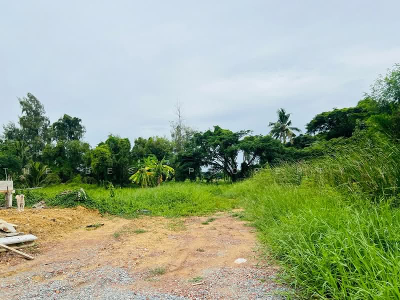 ที่ดินพุทธมณฑล นครปฐม, Nakhon Pathom, Khlong Yong, Phuttha Mon Thon, Nakhon Pathom, , 1,196 sqm, Land For Sale, by The Best Property ปู, 500474344 - DDproperty.com