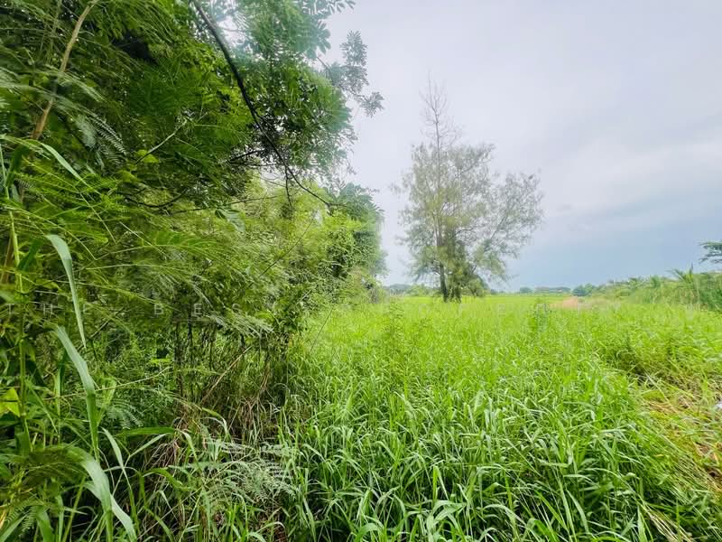 ที่ดินพุทธมณฑล นครปฐม, นครปฐม, คลองโยง, พุทธมณฑล, นครปฐม, 1,196 ตร.ม., ที่ดิน ขาย, โดย The Best Property ปู, 500474344 - DDproperty.com