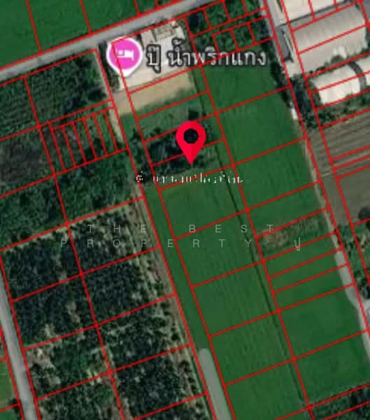ที่ดินพุทธมณฑล นครปฐม, Nakhon Pathom, Khlong Yong, Phuttha Mon Thon, Nakhon Pathom, , 1,196 sqm, Land For Sale, by The Best Property ปู, 500474344 - DDproperty.com