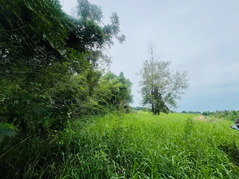 ที่ดินพุทธมณฑล นครปฐม, นครปฐม, คลองโยง, พุทธมณฑล, นครปฐม, 1,196 ตร.ม., ที่ดิน ขาย, โดย The Best Property ปู, 500474344 - DDproperty.com
