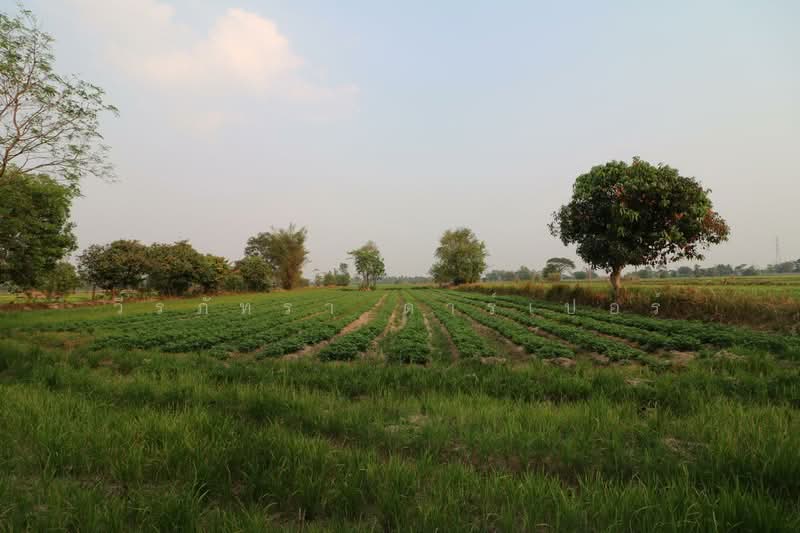 ขายที่ดินฟาร์มเล็ต 8+ ไร่ สกลนคร – เหมาะรีทรีท/เกษตร, สกลนคร, พังขว้าง, เมืองสกลนคร, สกลนคร, 13,280 ตร.ม., ที่ดิน ขาย, โดย วีรภัทรา ดาร์เปอร์, 500474371 - DDproperty.com