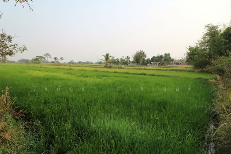 8+ Rai Farmlet Land for Sale, Sakon Nakhon – Ideal Retreat, Sakon Nakhon, Phang Khwang, Muang Sakon Nakhon, Sakon Nakhon, , 13,280 sqm, Land For Sale, by วีรภัทรา ดาร์เปอร์, 500474371 - DDproperty.com