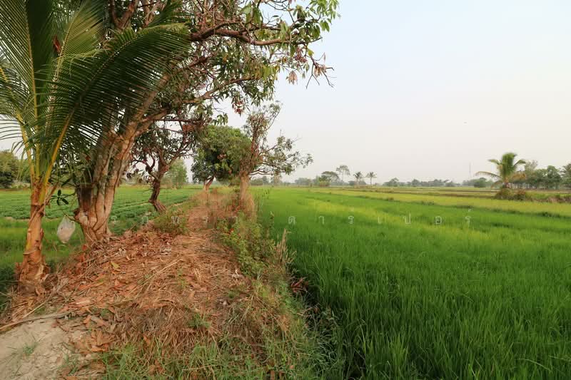 8+ Rai Farmlet Land for Sale, Sakon Nakhon – Ideal Retreat, Sakon Nakhon, Phang Khwang, Muang Sakon Nakhon, Sakon Nakhon, , 13,280 sqm, Land For Sale, by วีรภัทรา ดาร์เปอร์, 500474371 - DDproperty.com