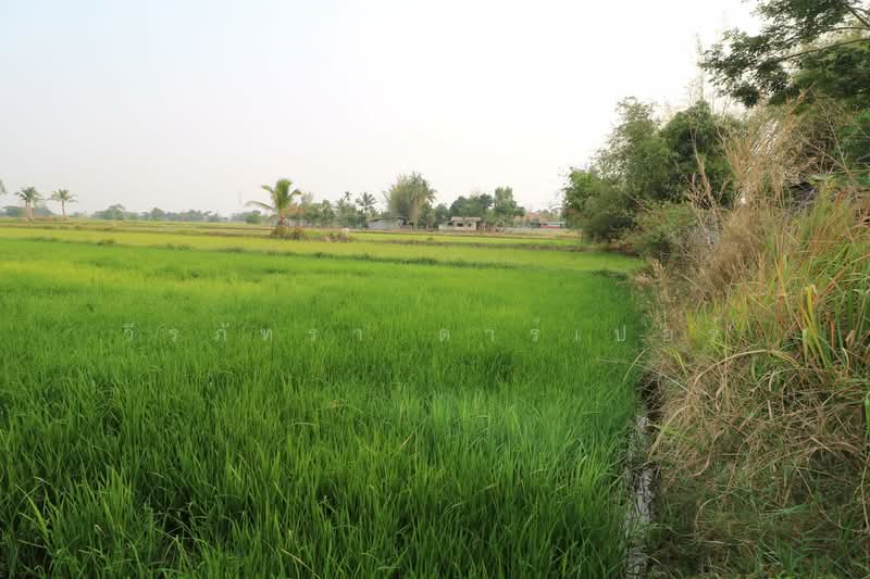 ขายที่ดินฟาร์มเล็ต 8+ ไร่ สกลนคร – เหมาะรีทรีท/เกษตร, สกลนคร, พังขว้าง, เมืองสกลนคร, สกลนคร, 13,280 ตร.ม., ที่ดิน ขาย, โดย วีรภัทรา ดาร์เปอร์, 500474371 - DDproperty.com