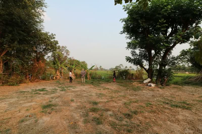 8+ Rai Farmlet Land for Sale, Sakon Nakhon – Ideal Retreat, Sakon Nakhon, Phang Khwang, Muang Sakon Nakhon, Sakon Nakhon, , 13,280 sqm, Land For Sale, by วีรภัทรา ดาร์เปอร์, 500474371 - DDproperty.com