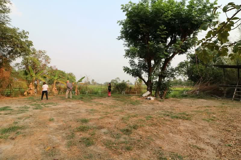 8+ Rai Farmlet Land for Sale, Sakon Nakhon – Ideal Retreat, Sakon Nakhon, Phang Khwang, Muang Sakon Nakhon, Sakon Nakhon, , 13,280 sqm, Land For Sale, by วีรภัทรา ดาร์เปอร์, 500474371 - DDproperty.com