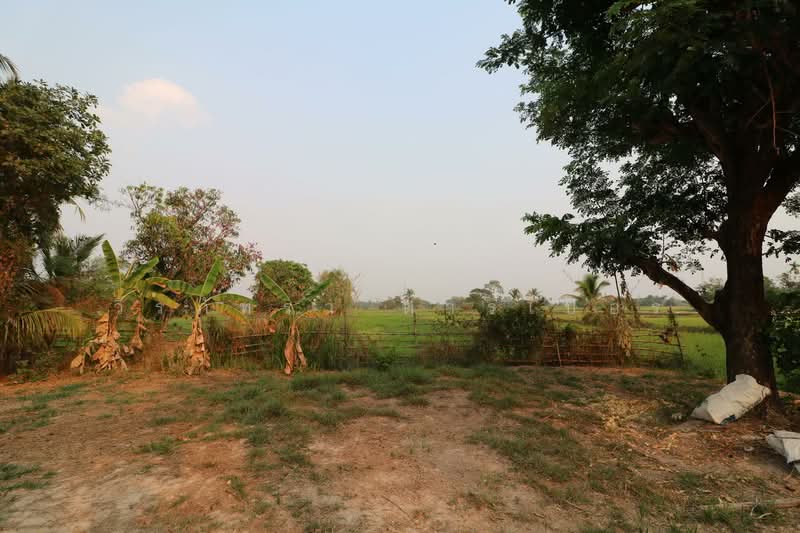 8+ Rai Farmlet Land for Sale, Sakon Nakhon – Ideal Retreat, Sakon Nakhon, Phang Khwang, Muang Sakon Nakhon, Sakon Nakhon, , 13,280 sqm, Land For Sale, by วีรภัทรา ดาร์เปอร์, 500474371 - DDproperty.com
