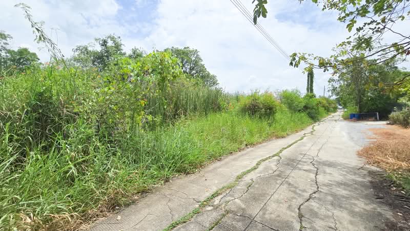 ขายที่ดินเปล่าใน หมู่บ้านเคหะการเกษตร ตำบล หนองเพรางาย อำเภอไทรน้อย นนทบุรี, นนทบุรี, หนองเพรางาย, ไทรน้อย, นนทบุรี, 396 ตร.ม., ที่ดิน ขาย, โดย HOMEPLUS REALTY - คุณหนึ่ง, 500474377 - DDproperty.com