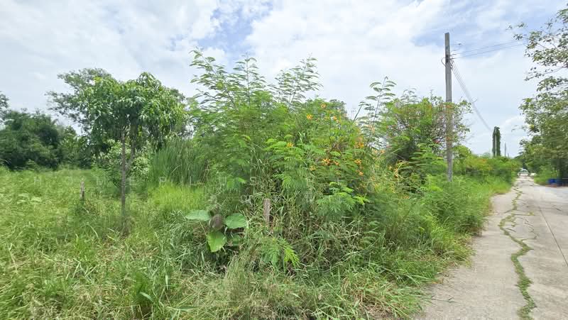 Vacant Land for Sale – Kehakankaset 37 Village, Nonthaburi, Nong Prao Ngai, Sai Noi, Nonthaburi, , 396 sqm, Land For Sale, by HOMEPLUS REALTY - คุณหนึ่ง, 500474377 - DDproperty.com