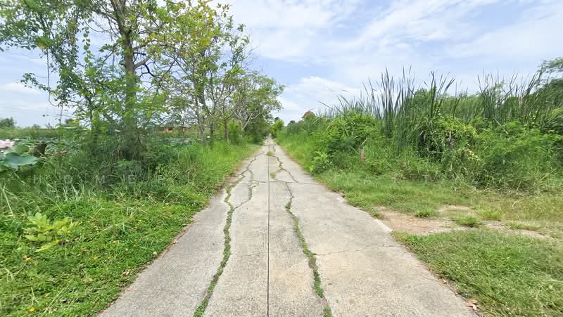 ขายที่ดินเปล่าใน หมู่บ้านเคหะการเกษตร ตำบล หนองเพรางาย อำเภอไทรน้อย นนทบุรี, นนทบุรี, หนองเพรางาย, ไทรน้อย, นนทบุรี, 396 ตร.ม., ที่ดิน ขาย, โดย HOMEPLUS REALTY - คุณหนึ่ง, 500474377 - DDproperty.com