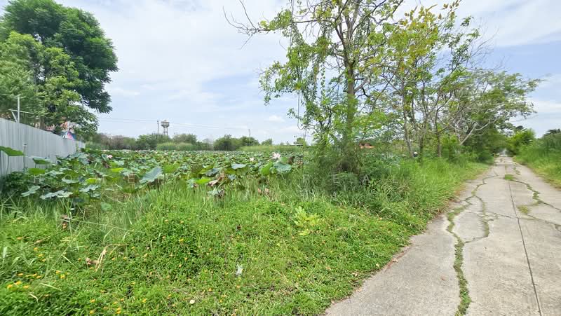 ขายที่ดินเปล่าใน หมู่บ้านเคหะการเกษตร ตำบล หนองเพรางาย อำเภอไทรน้อย นนทบุรี, นนทบุรี, หนองเพรางาย, ไทรน้อย, นนทบุรี, 396 ตร.ม., ที่ดิน ขาย, โดย HOMEPLUS REALTY - คุณหนึ่ง, 500474377 - DDproperty.com
