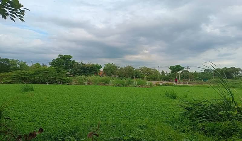 Eua Athon Khlong 5/1, Pathum Thani, Khlong Ha, Khlong Luang, Pathum Thani, 2 Bedrooms, 90 sqm, Single Detached House For Sale, by ชนะชาติ นนท์ตา, 500474397 - DDproperty.com
