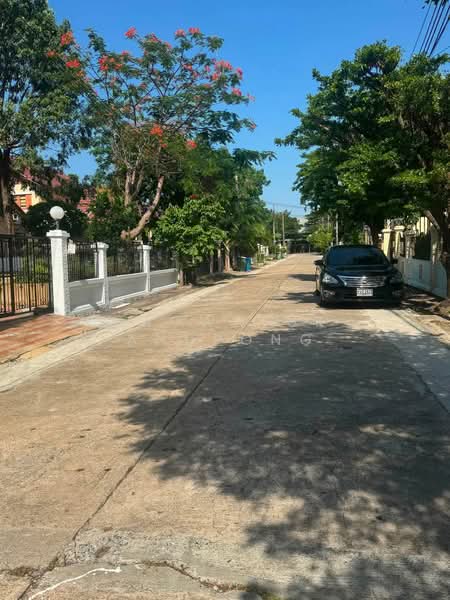 Ladawan Srinakarin, Samut Prakan, Srinakarin Road, Bang Kaeo, Bang Plee, Samut Prakan, 4 Bedrooms, 350 sqm, Single Detached House For Rent, by Saowaluk Anupong, 500474431 - DDproperty.com