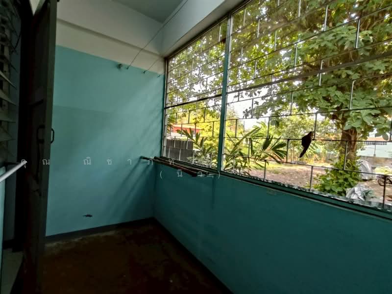 ใกล้ตลาดถนอมมิตร ซอยวัชรพลแยก 1/1, Bangkok, Tha Rang, Bang Khen, Bangkok, , 400 sqm, Land For Sale, by คุณ ณิชาภัทร พลอยแดง (นิว), 500474453 - DDproperty.com